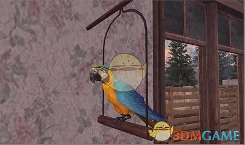 ֮ɶ