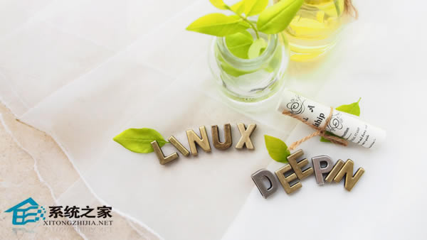 Linuxϵͳв鿴DNSõķ