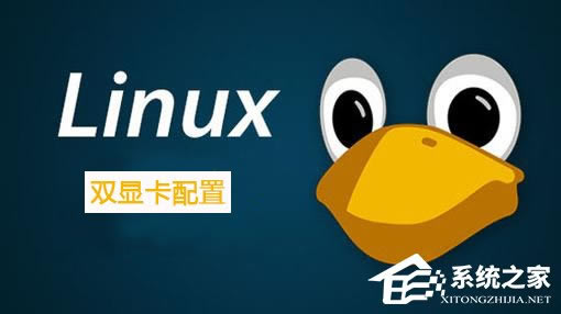 Linuxϵͳ˫Կ