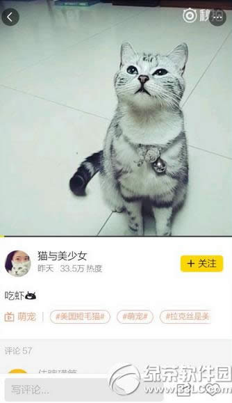 秒拍直播看不了怎样处理 秒拍直播看不知道决方式