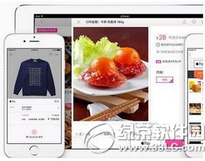 apple pay޷ӿô apple payӲп