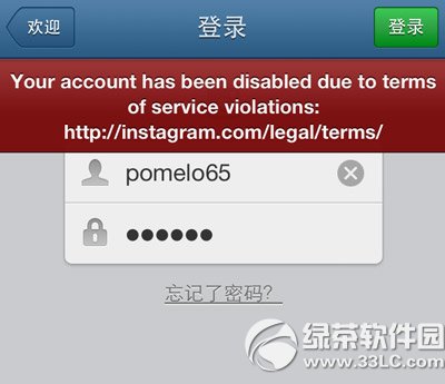 instagram죿instagram/δ취