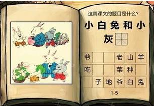 �й���ѧ�԰��û�����ɽ��𰸹���