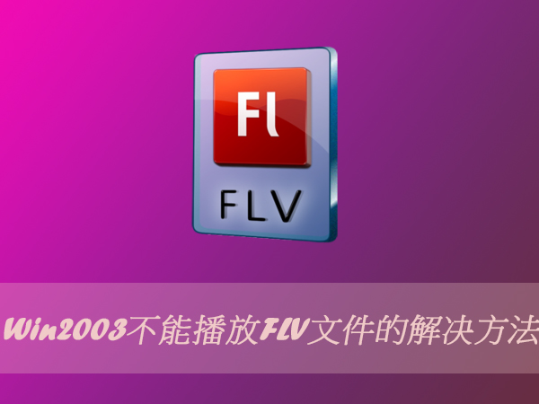 Win2003ܲFLVļĴ(ͼ)