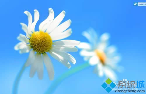 win8ϵͳļʾ׺İ취